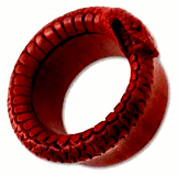 Joermungand als rote Schlange mit Ring