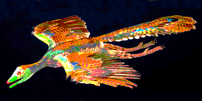 Bild: Grell bunter Archaeopteryx