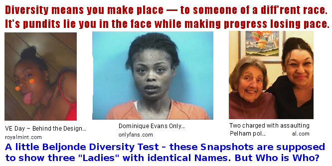 Diversity Coin Designer Dominique Evans and others
