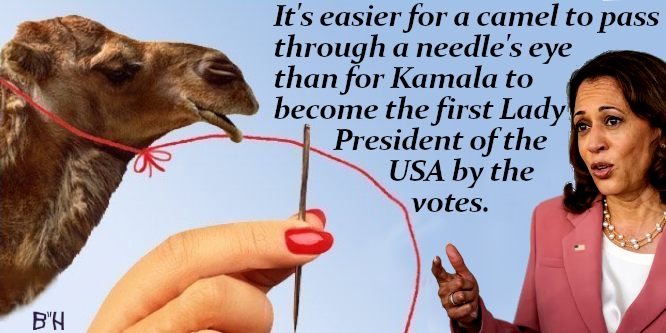 camel and Kamala Harris with a needles eye